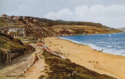 Baia di Carbis, St Ives da Alfred Robert Quinton